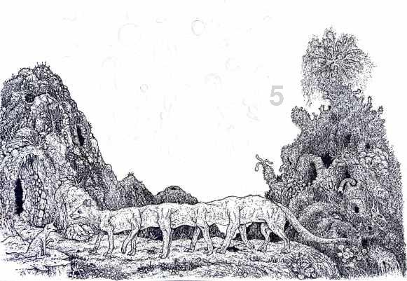 探探猫历险记2