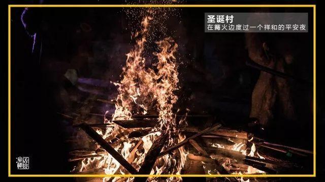 救援小犬立苏